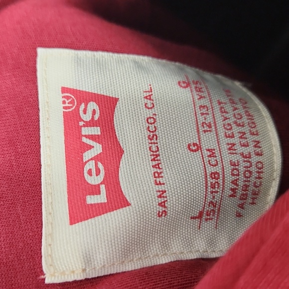 Levi's Youth Hoodie - Picture 7 of 8